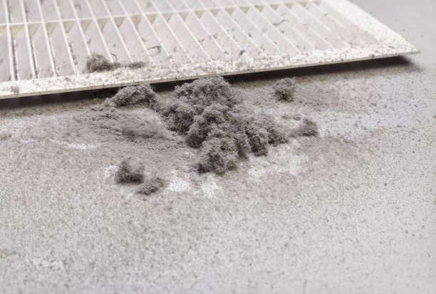 Best Air Duct Cleaning Near Me  in Crystal Lake, FL
