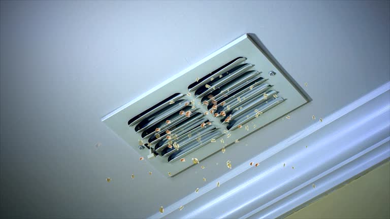 Best HVAC System Cleaning  in Crystal Lake, FL